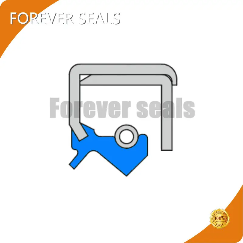 Industrial Seals Manufacturers by FOREVER SEALS-1 1