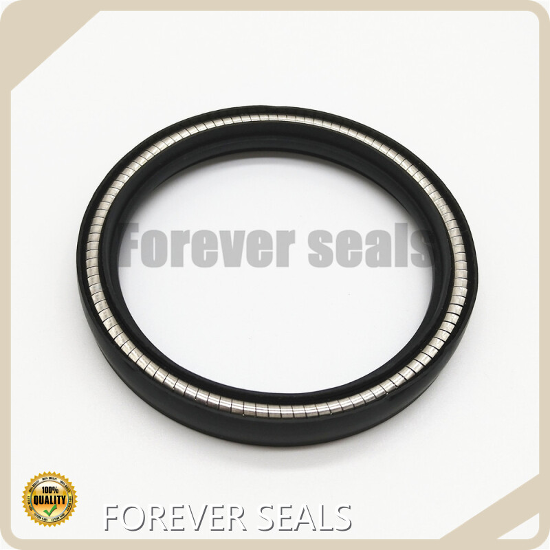 Spring Energized O Ring Spring Energized Seals Wholesale - FOREVER SEALS 1
