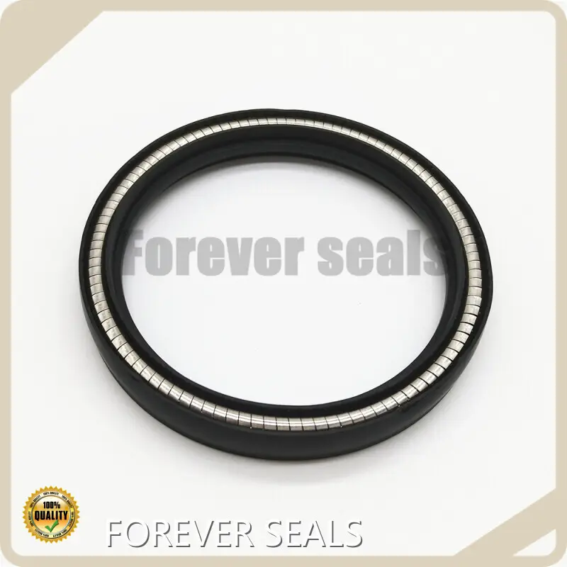 Spring Energized O Ring Spring Energized Seals Wholesale - FOREVER SEALS 1