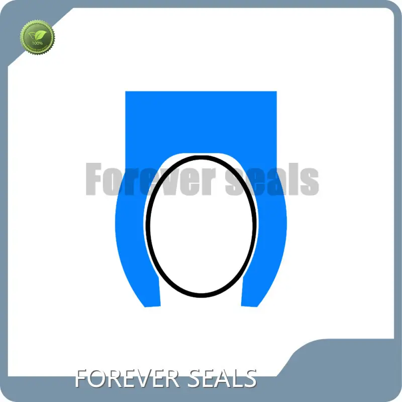 Rubber Seal Ring Manufacturers Spring Energized Seals Wholesale - FOREVER SEALS 1
