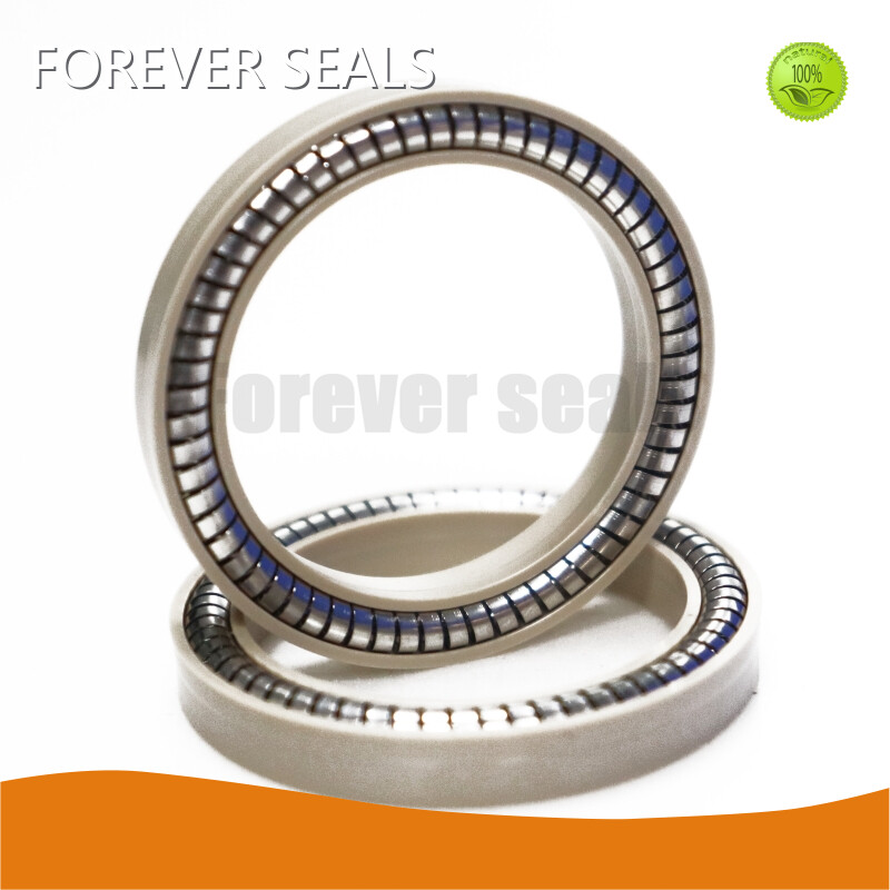 Professional Spring Energized Seals Company 1