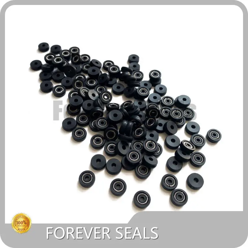 Spring Energized O Ring Spring Energized Seals Wholesale - FOREVER SEALS-1 1