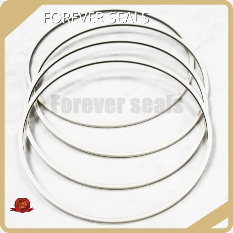 Products Spring Energized Seals Company 1