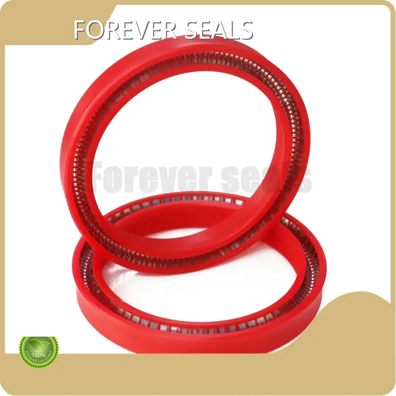 FOREVER SEALS Spring Energised Seal Wholesale 1