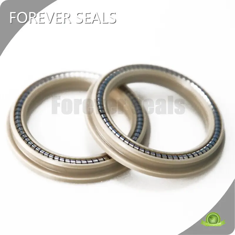 Spring Energised Seal Spring Energized Seals Wholesale - FOREVER SEALS 1