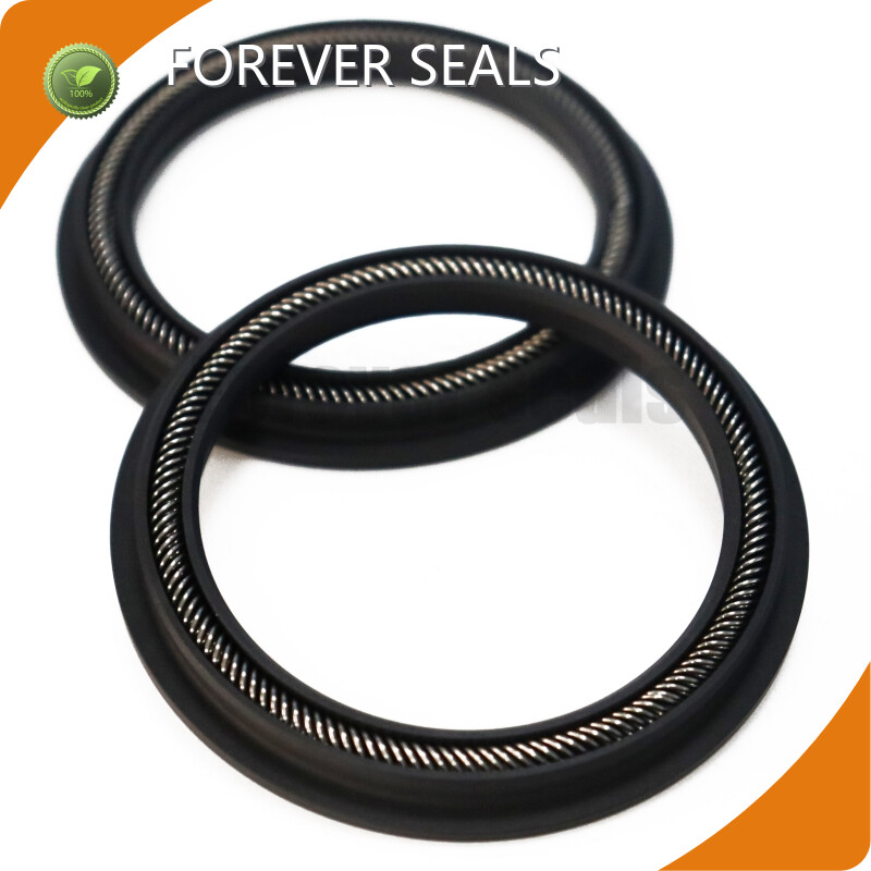Spring Energized Seals Rubber Seal Products Quality Assurance 1