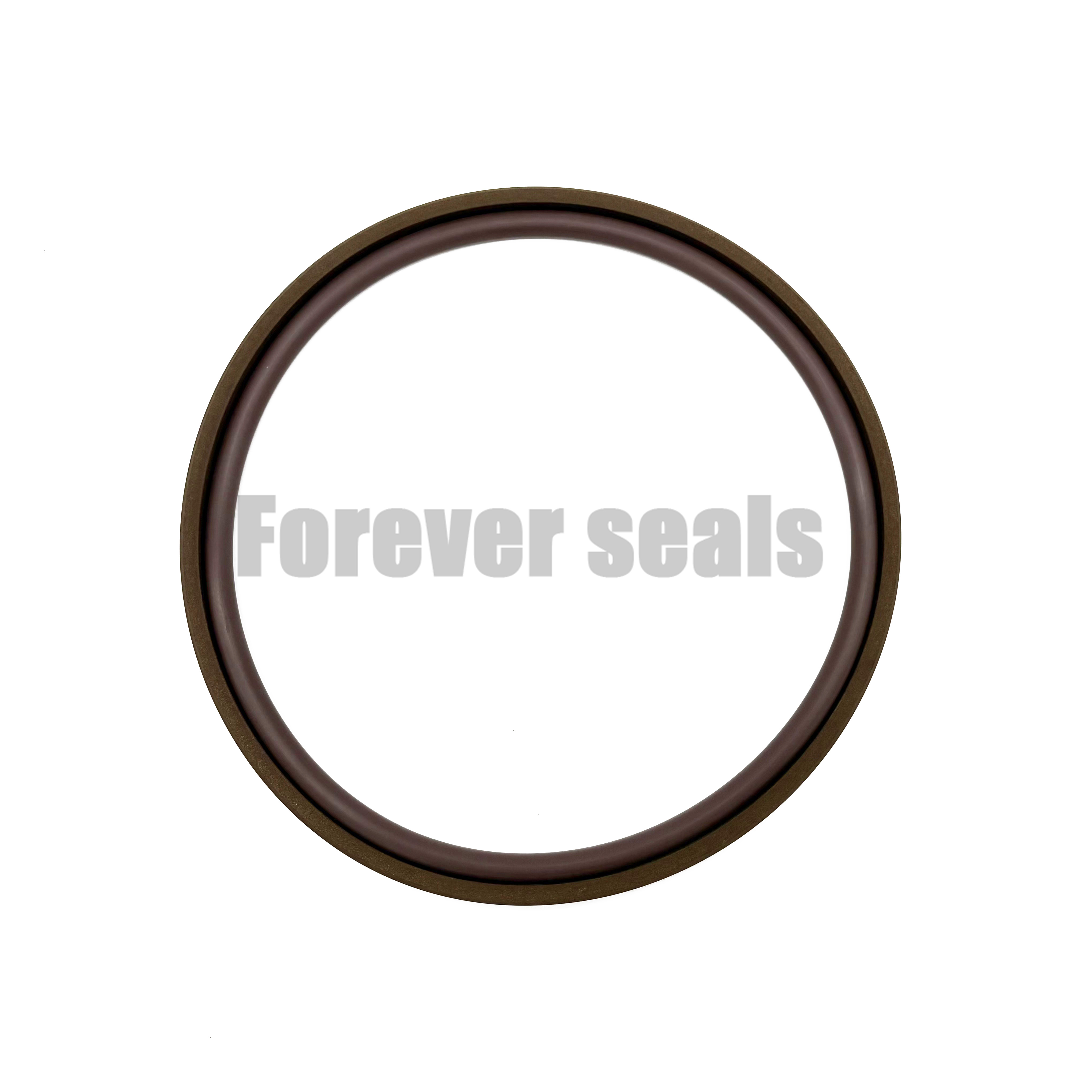 Industrial-Grade GSF Glyd Ring (FKM Energized): Filled PTFE + O-Ring Piston Seal 2