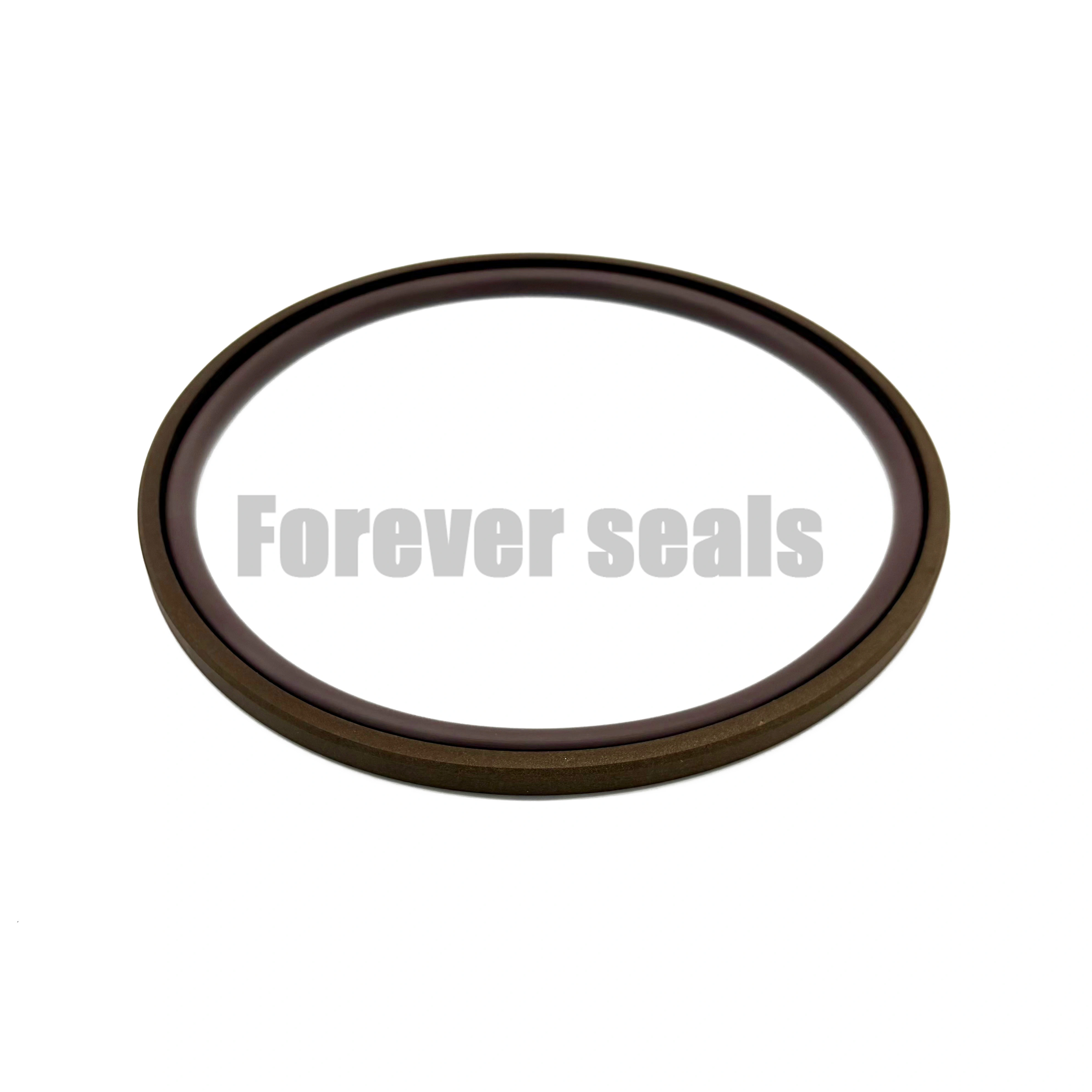 Anillo GSF Glyd de grado industrial (FKM energizado): Sello de pistón con junta tórica y relleno de PTFE. 1