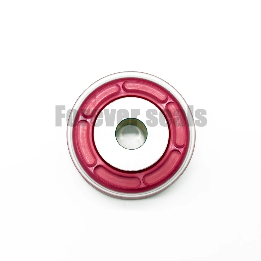 Repuestos para cilindros estándar ISO de DSBC Pneumatic Seals/Festo 1