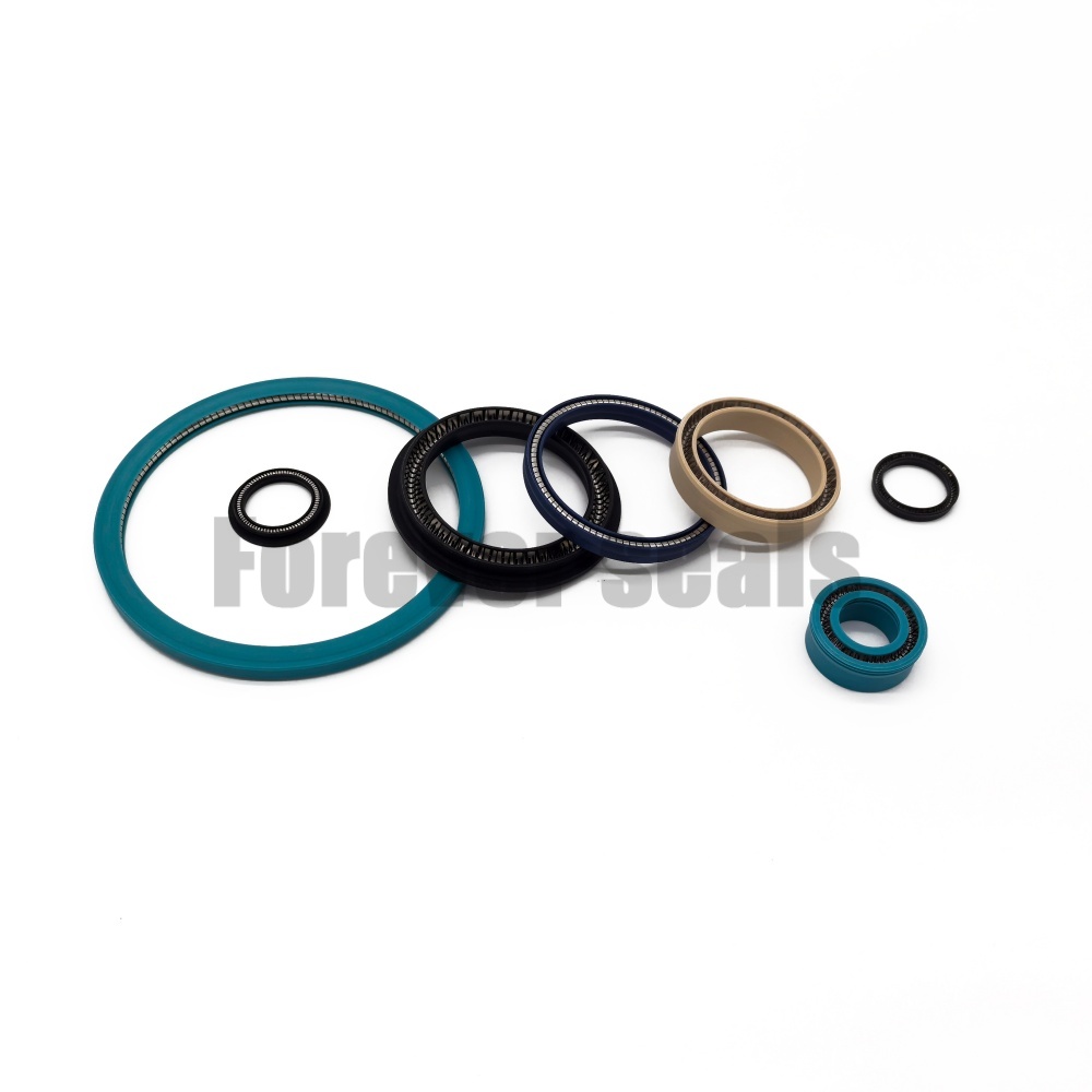 Sello de PTFE energizado por resorte de varios tipos 1