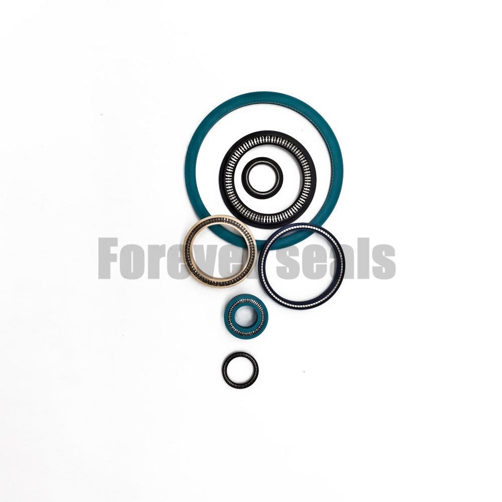 Sello de PTFE energizado por resorte de varios tipos 4