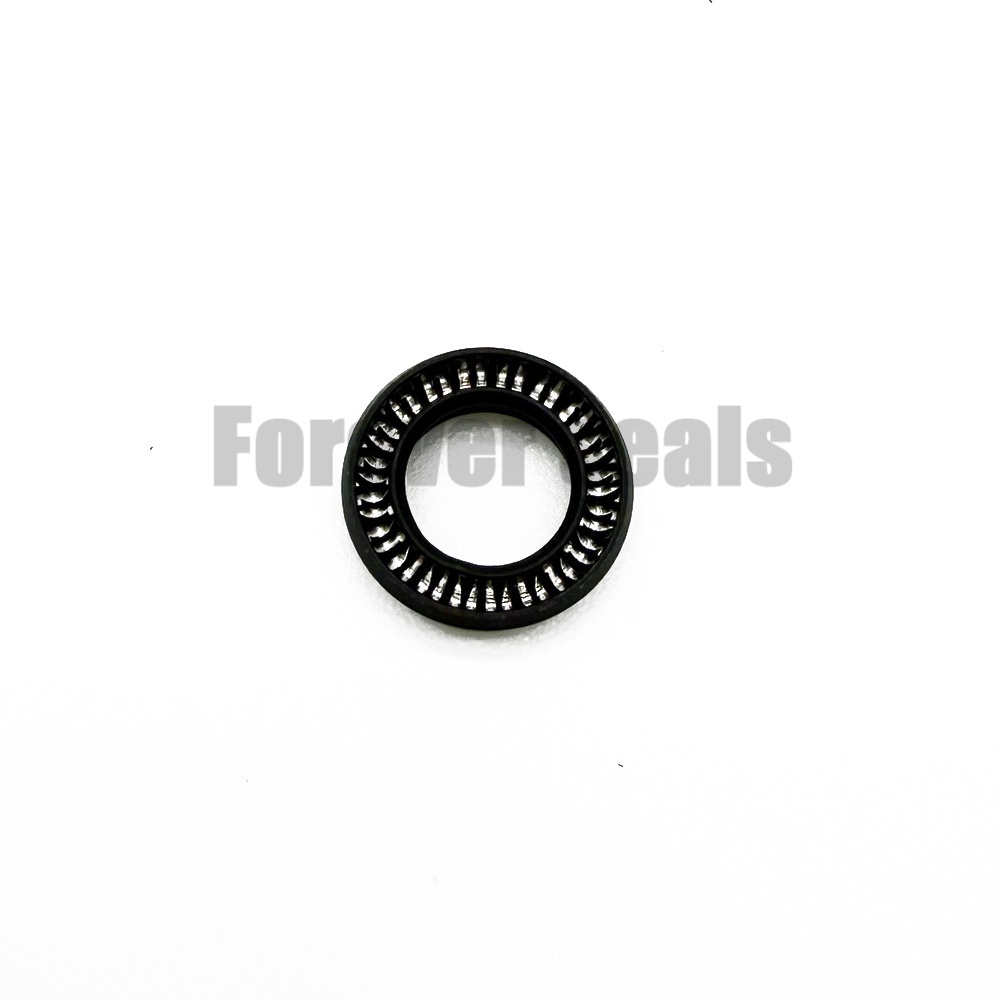 PVA000080 High Wear BT40-VS Spring Energized Seal for Chemical Pump & LNG Equipment 1