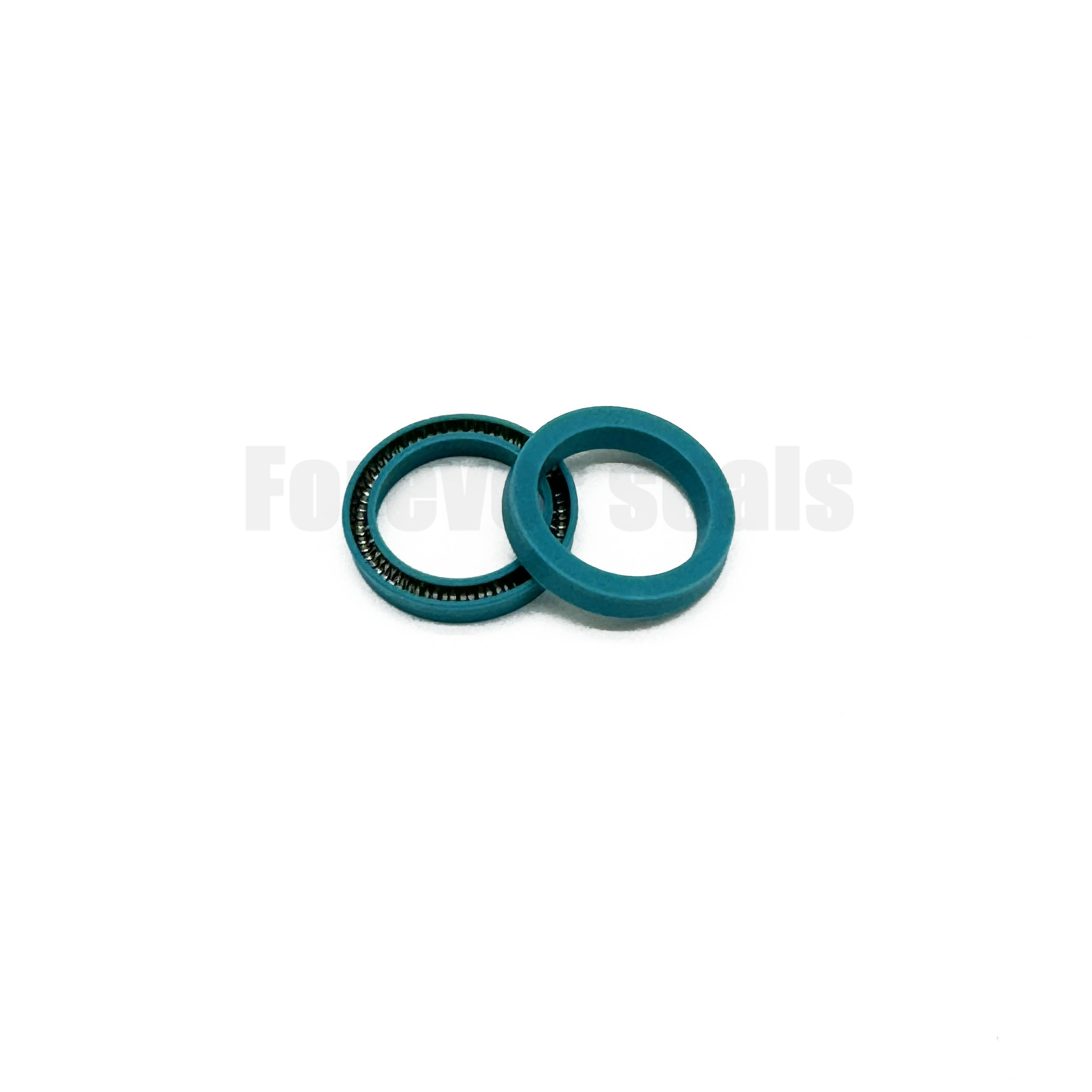 RVM300200-T05S Junta de PTFE energizada con resorte Turcon Variseal de 20x30x4,8 mm 1