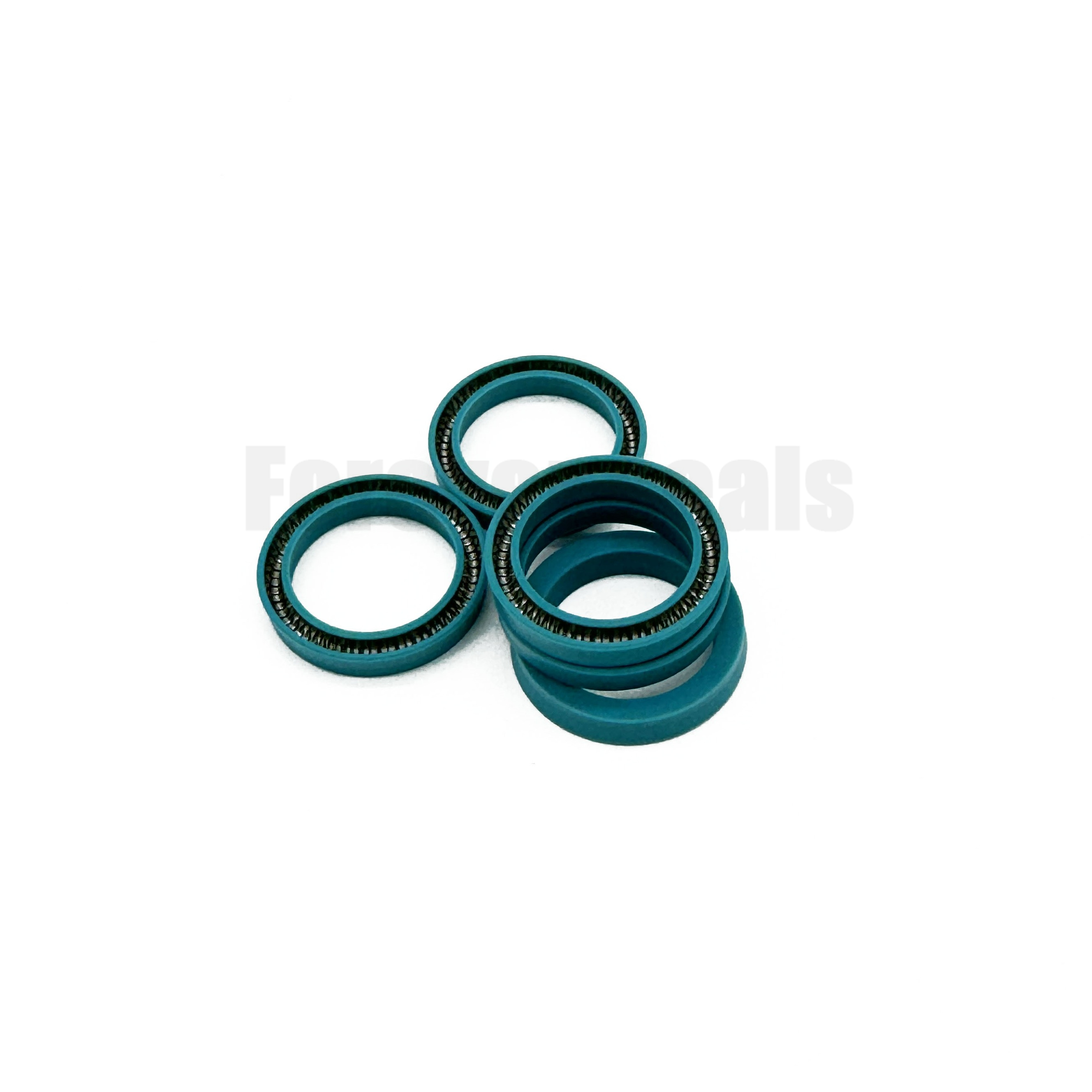 RVM300200-T05S Junta de PTFE energizada con resorte Turcon Variseal de 20x30x4,8 mm 3