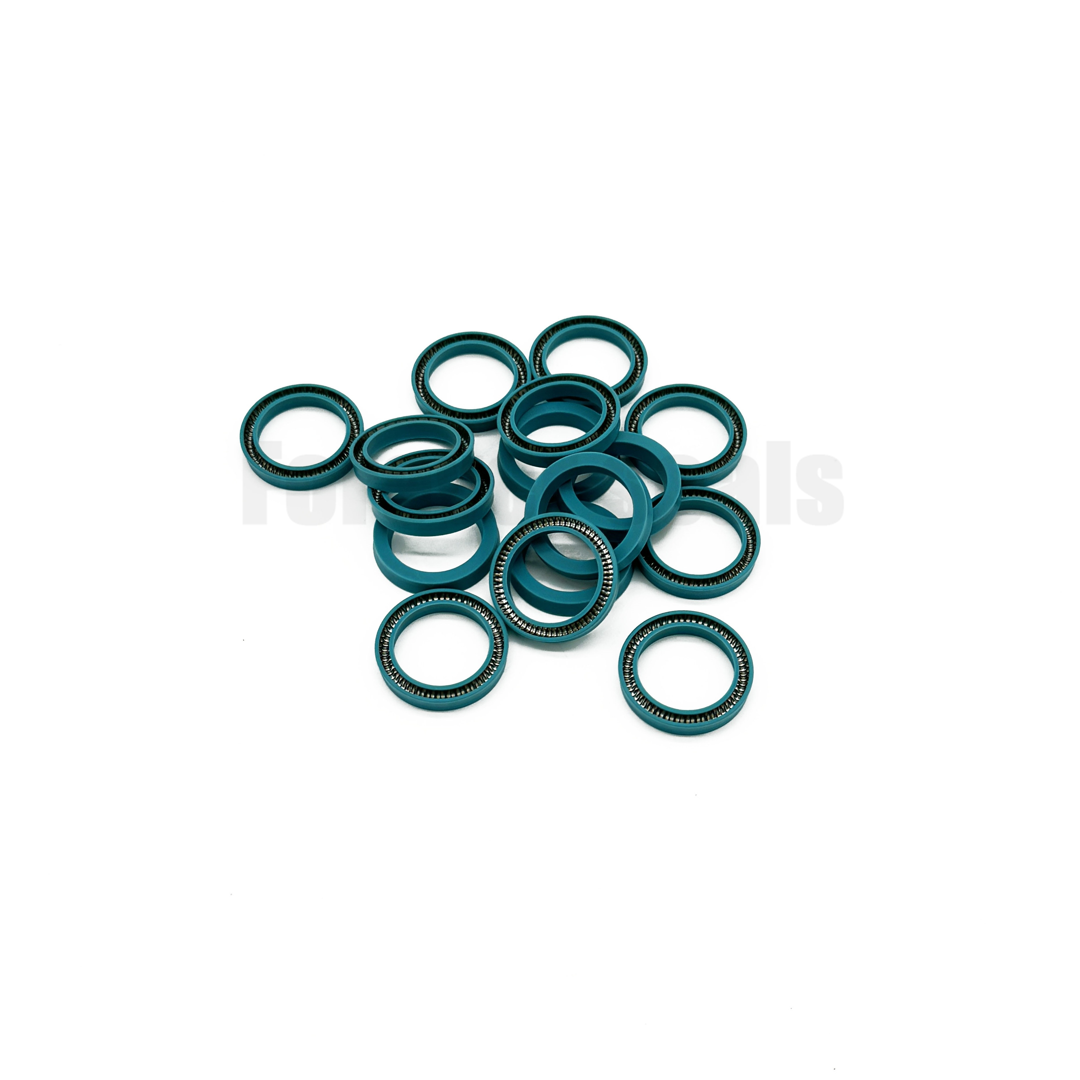 RVM300200-T05S Junta de PTFE energizada con resorte Turcon Variseal de 20x30x4,8 mm 2