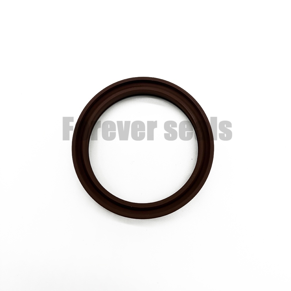 DS117 FKM Asymmetrical Rod Seal for Hydraulic Cylinders 1