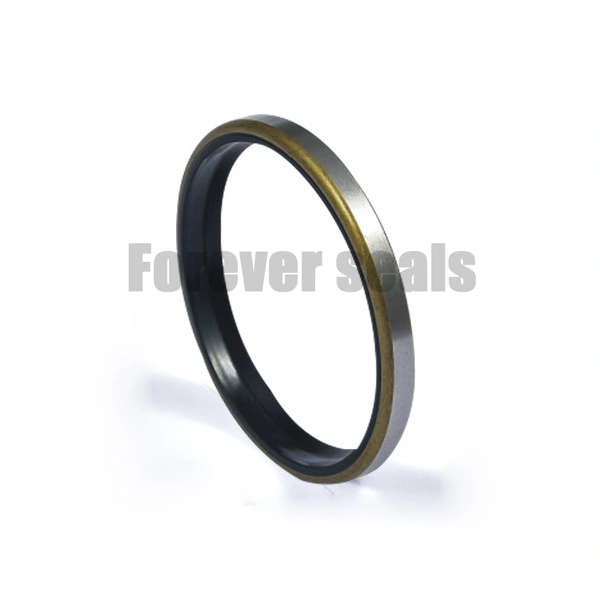 GA wiper seal 1