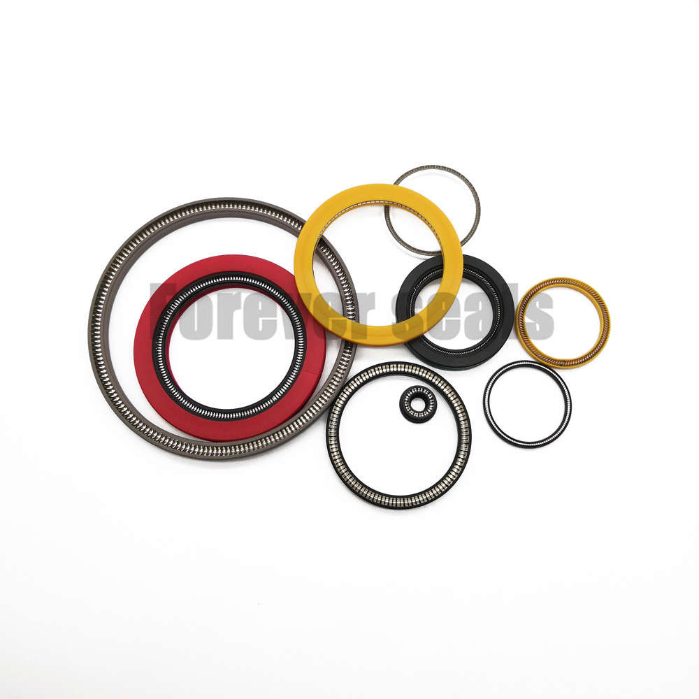 FOREVER SEALS Spring Energized O Ring Price List 2