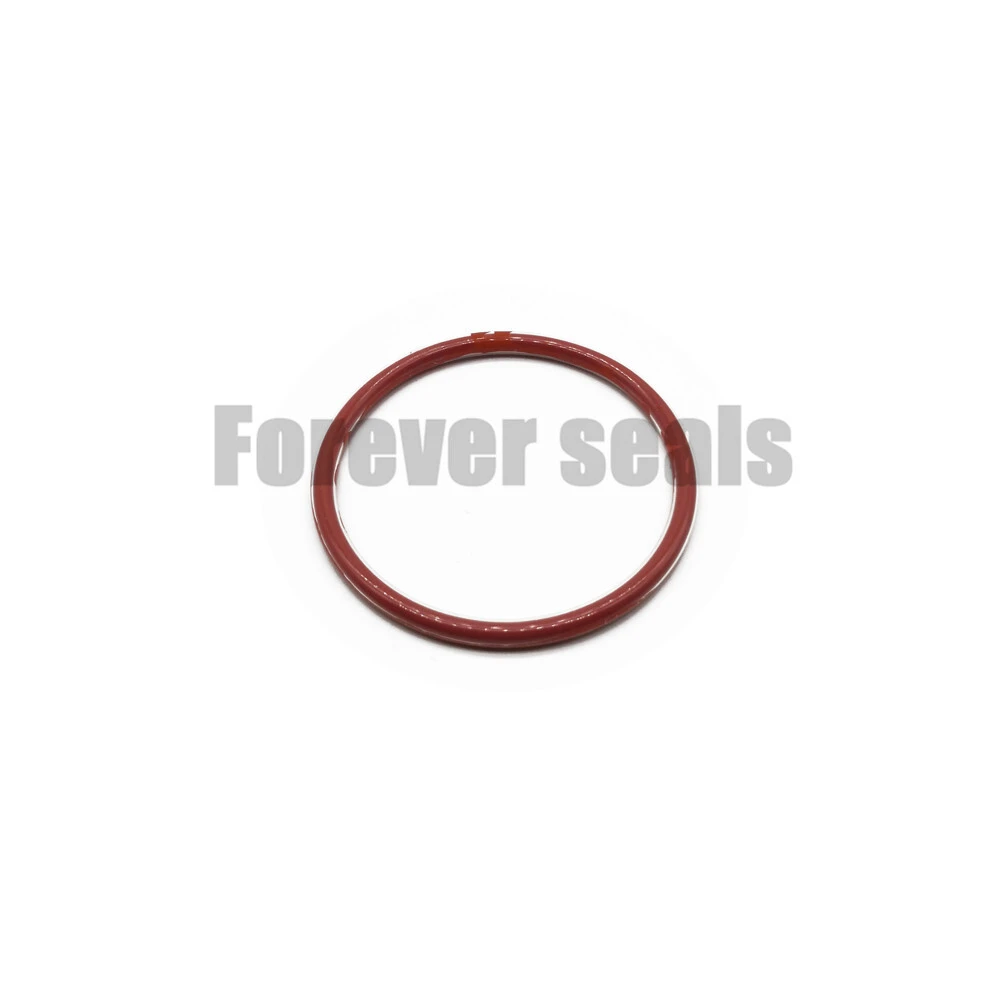 FEP PFA encapsulated silicone O-Rings 1