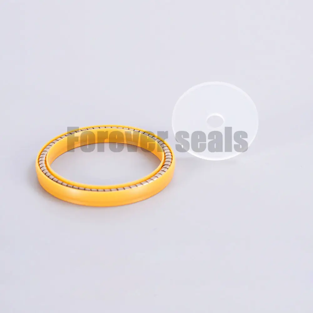 Spring Energized Seals Spring Loaded Ptfe Seal Supplier 2