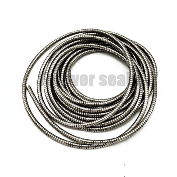 Resorte O de acero inoxidable SS301 2