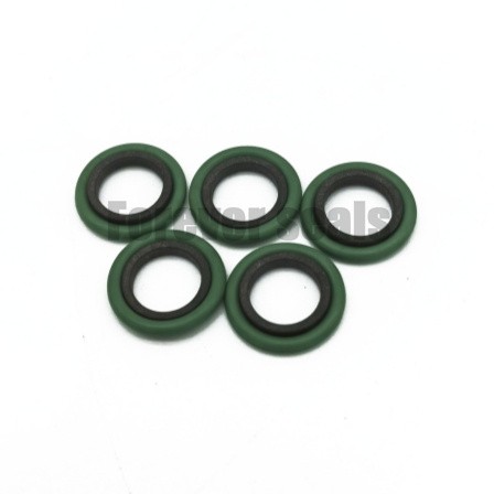 ROD TURCON T GLYD RING 1