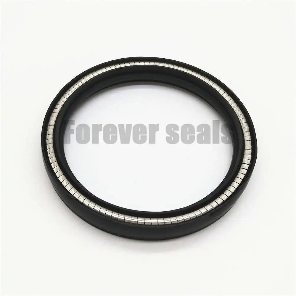 Spring Seals Spring Energized Seals Wholesale - FOREVER SEALS 2