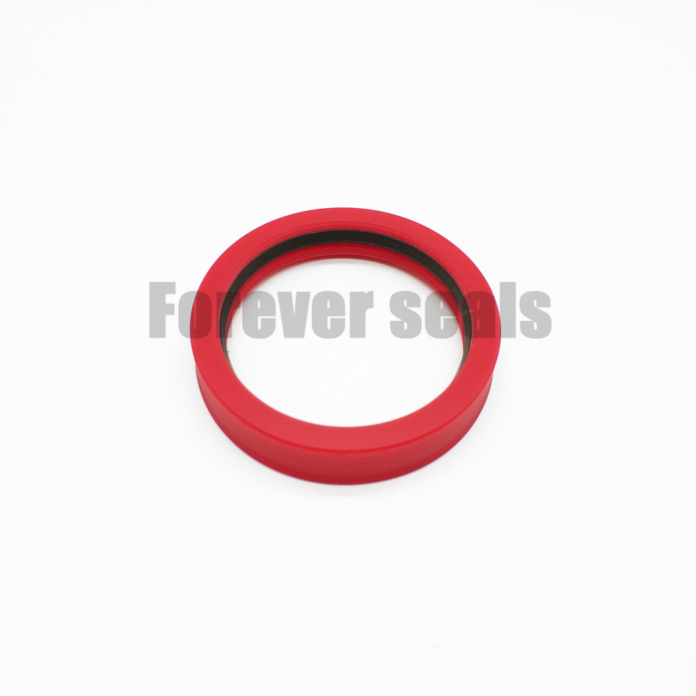 Customized Hydraulic Cylinder Piston Seal Types Company 2