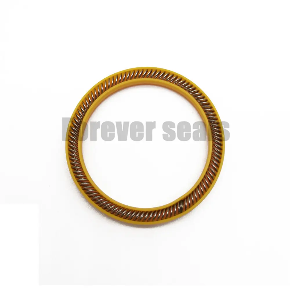 FOREVER SEALS Spring Energised Seal Price List 4