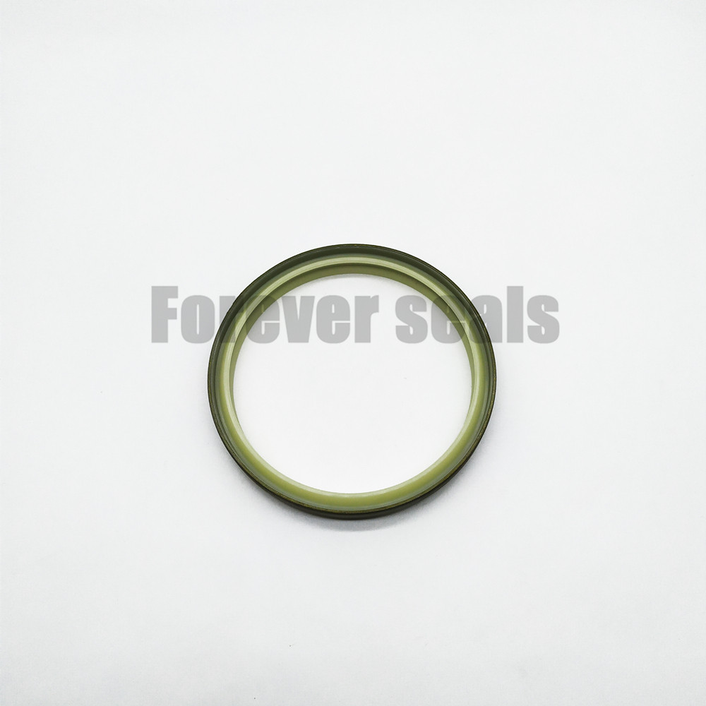 Hydraulic cylinder PU dust wiper seal DKBI 4