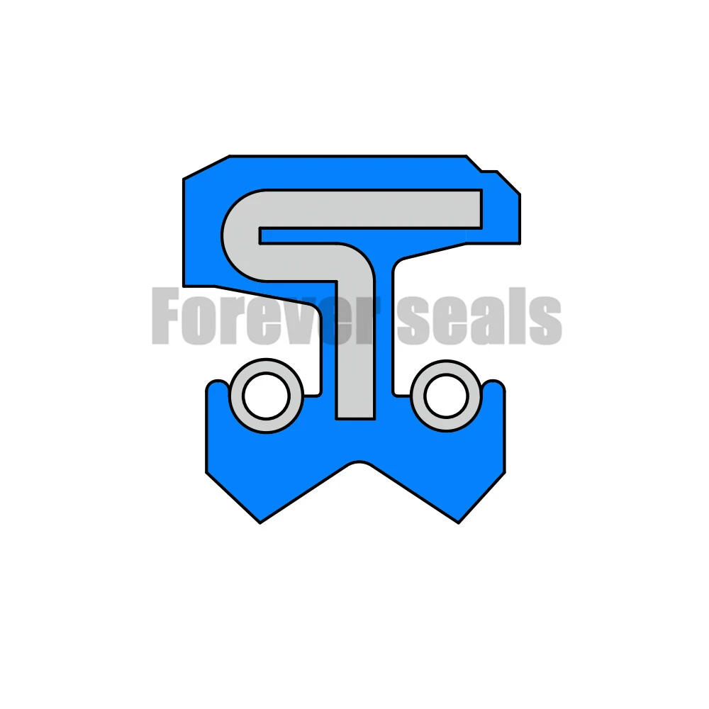 DC - double spring oil seal 1