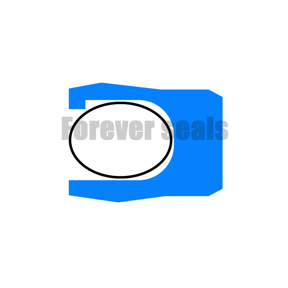 W2 - Filled PTFE modified material variseal spring energized seals factory 1