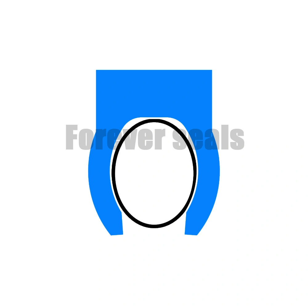 DVE - Internal face spring energized seals 1
