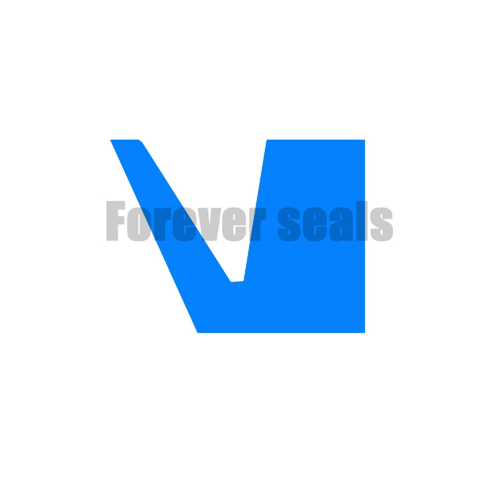 V seal ring VA rubber seal 1