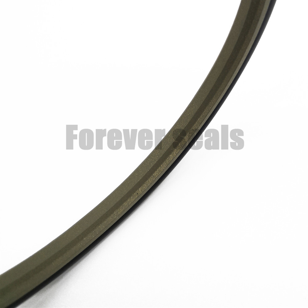 Hydraulic cylinder bronze PTFE rod buffer step seals GSJ 6