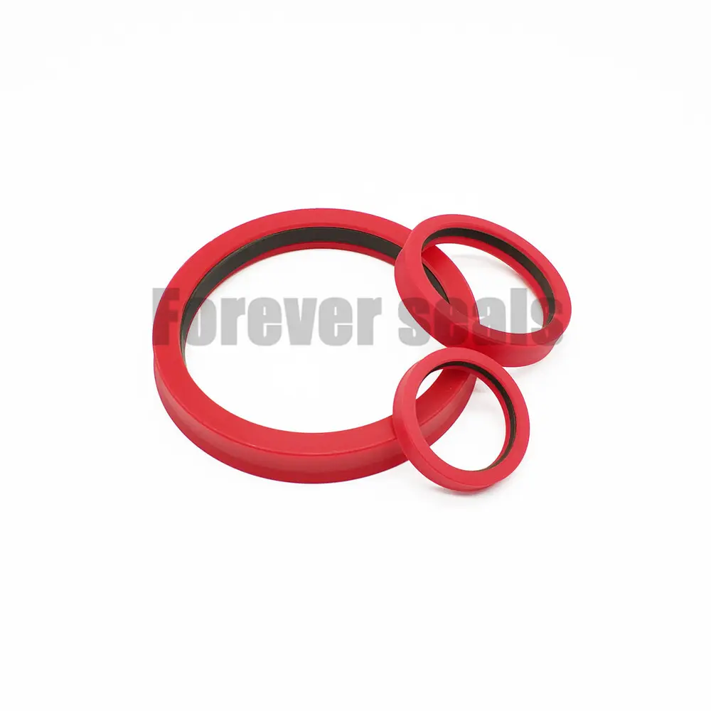 Customized Hydraulic Cylinder Piston Seal Types Company 6