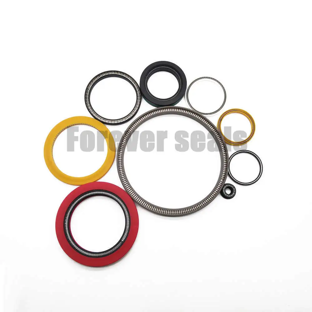 PTFE UPE PU PEEK Spring energized seals 1