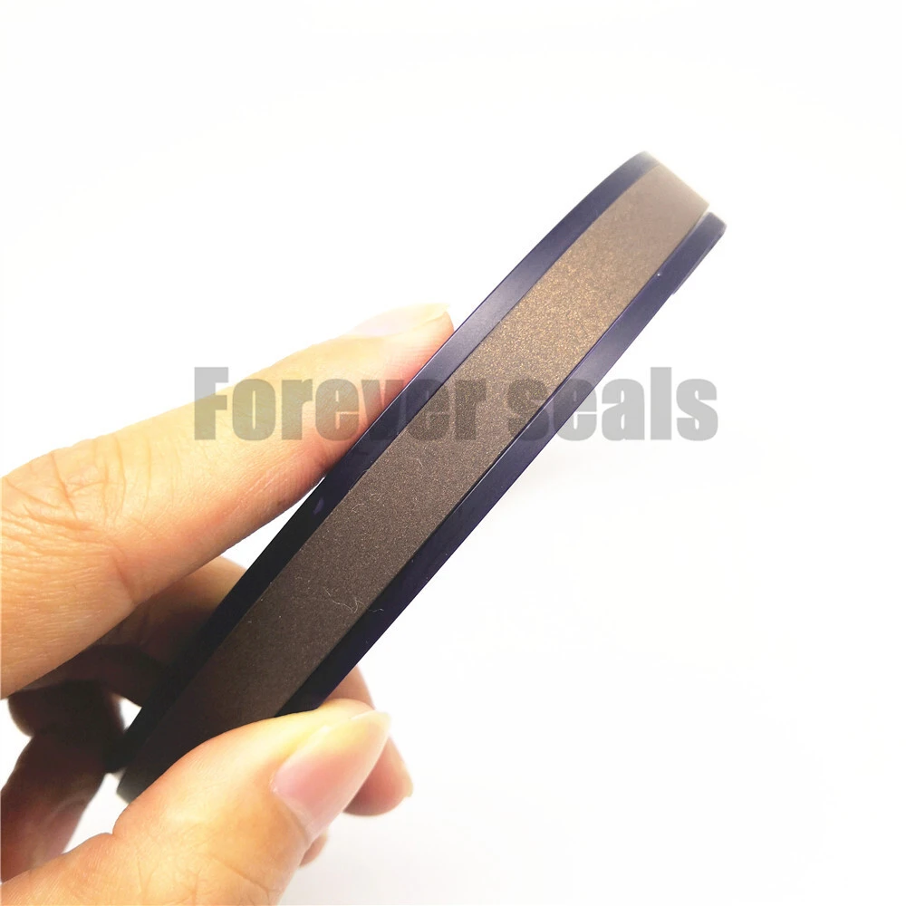 Compact bronze PTFE piston seal SPGW 1