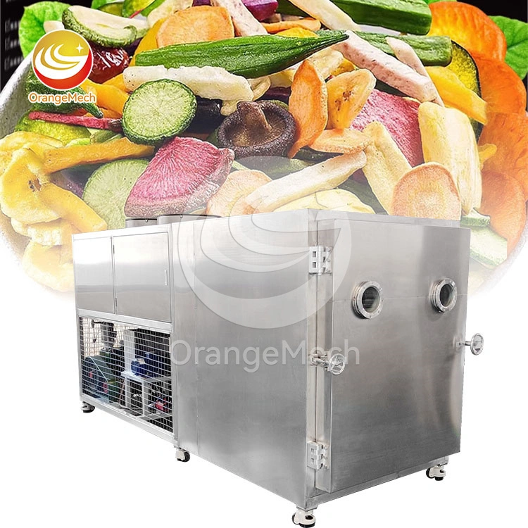 Professional medium-sized stainless steel freeze dryer suitable for home use 1