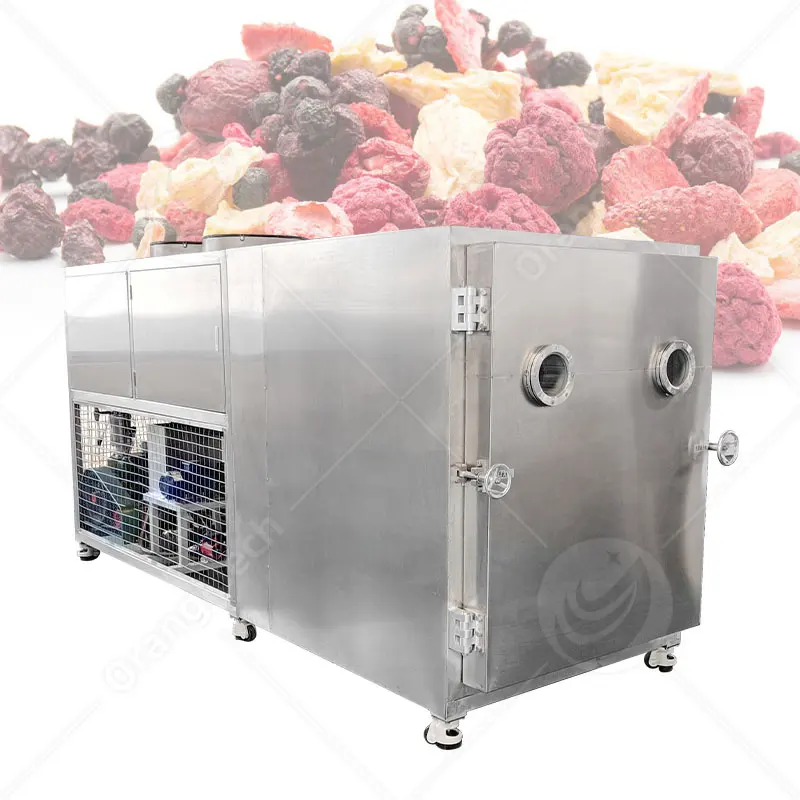 Why You Should Invest in a Freeze Dry Food Machine Today 1