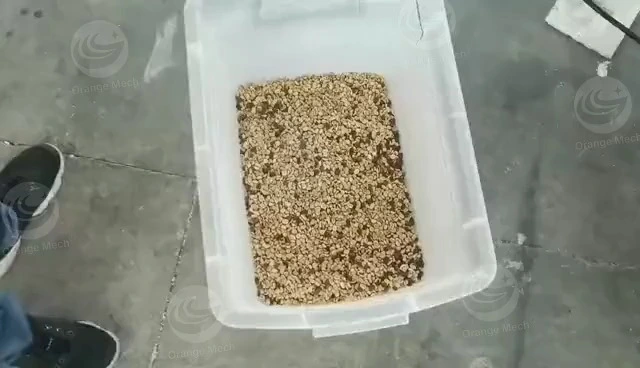 coffee color sorting machine