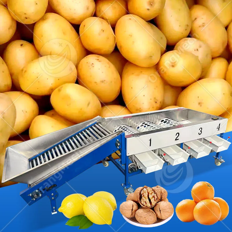 Fruit and Vegetable Sorting Machine (Roller Type) 1