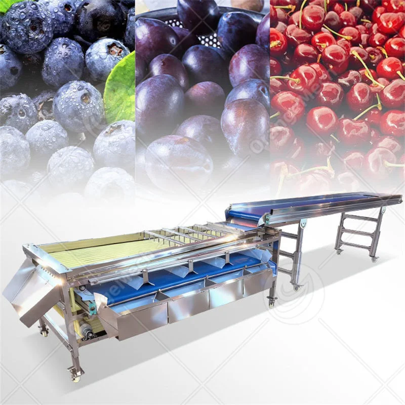 Vegetables Grading Sorting Machine 1
