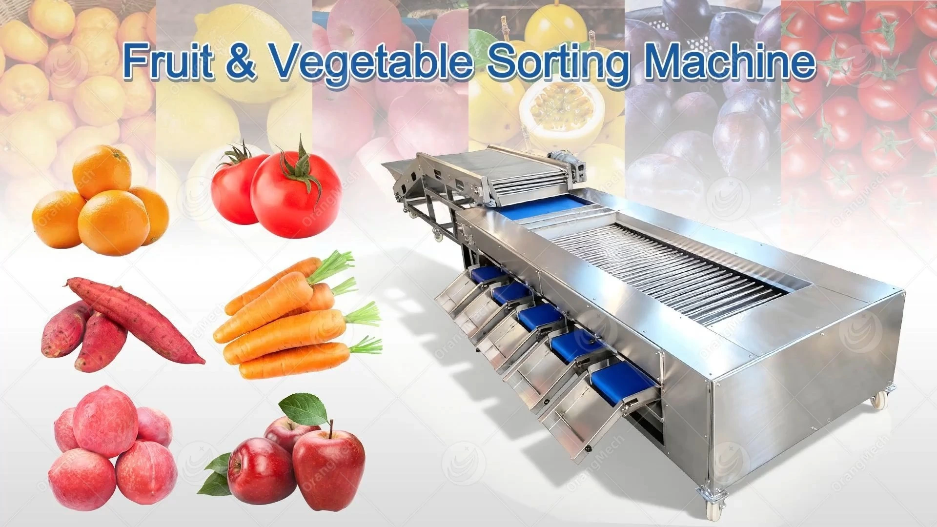Fruit and Vegetable Sorting Machine (Roller Bar Type) 1