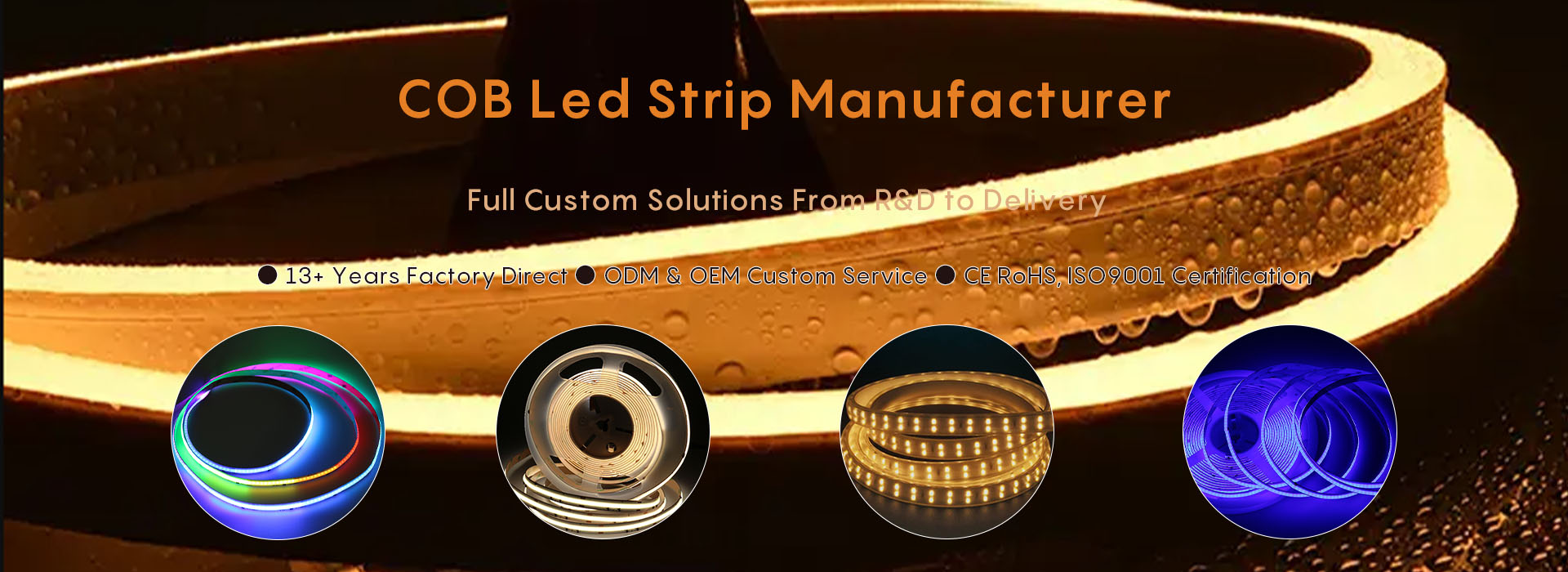 Since 2012COB Led Strip  Manufacturer