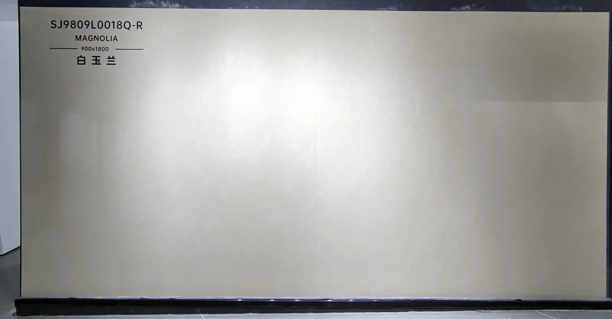 SJ9809L0018Q-R | 900x1800mm | brillante 1