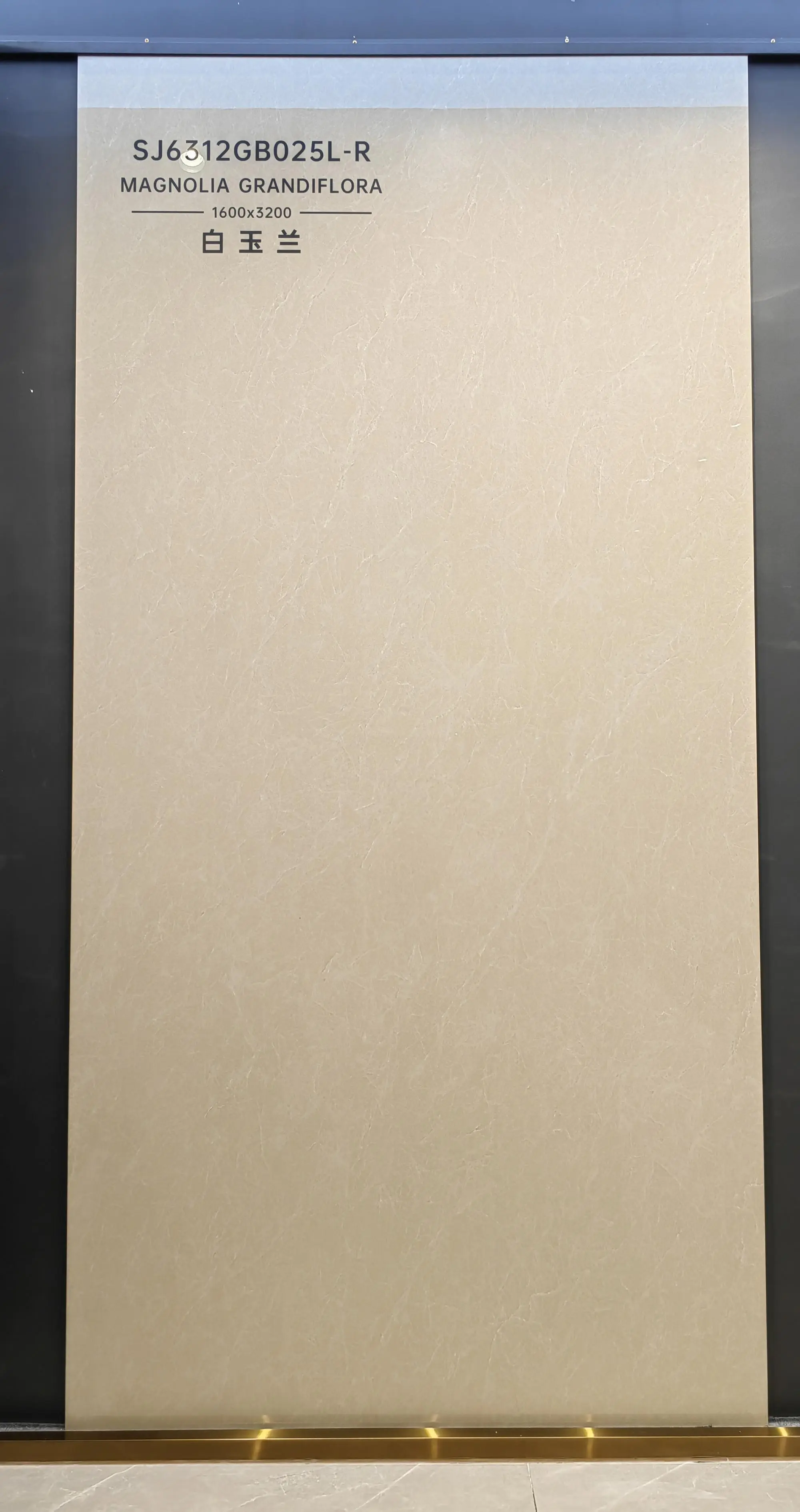 B025L | 1600x3200mm | glossy 1