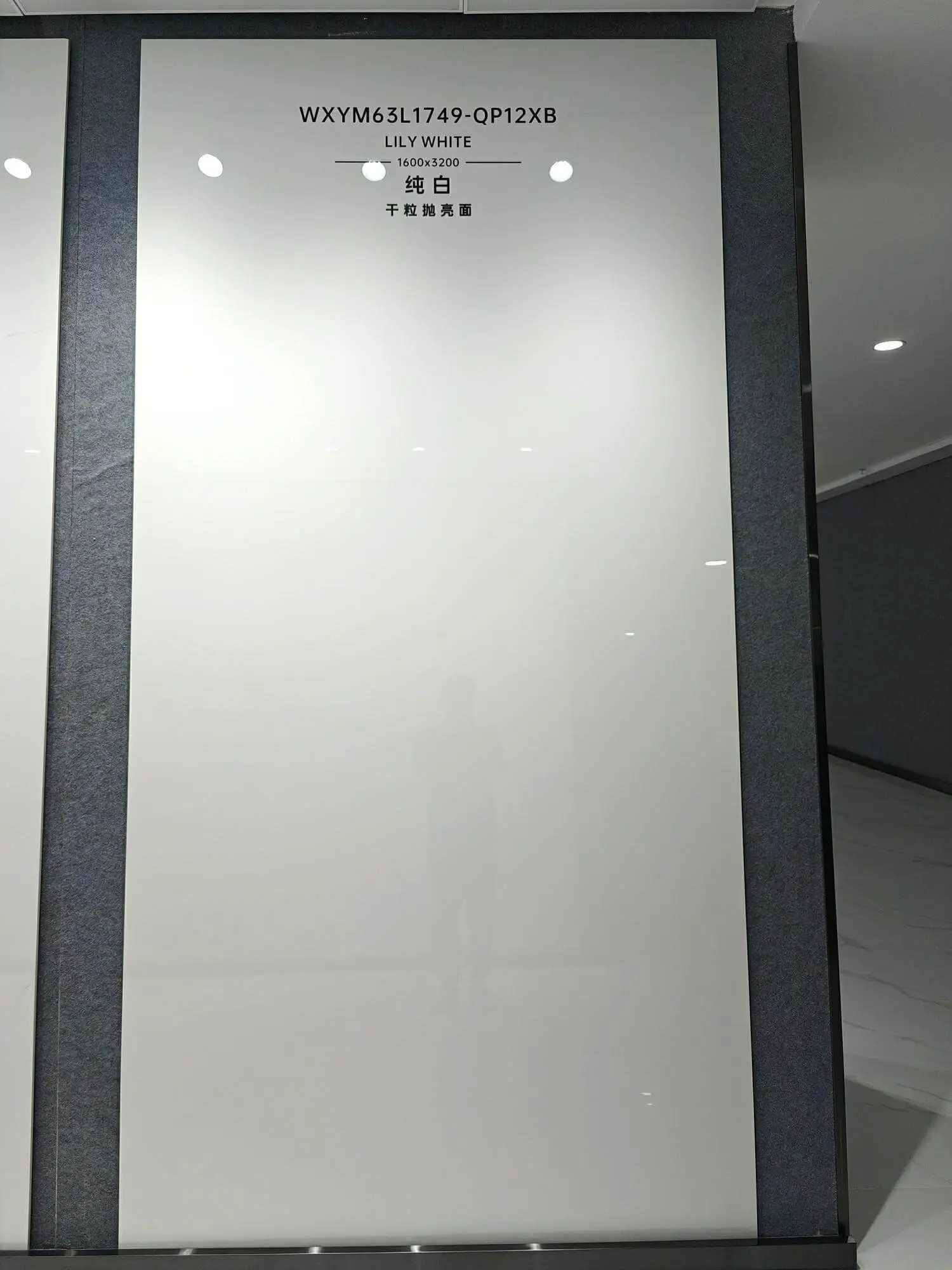 1749| 1600x3200mm | glossy 1