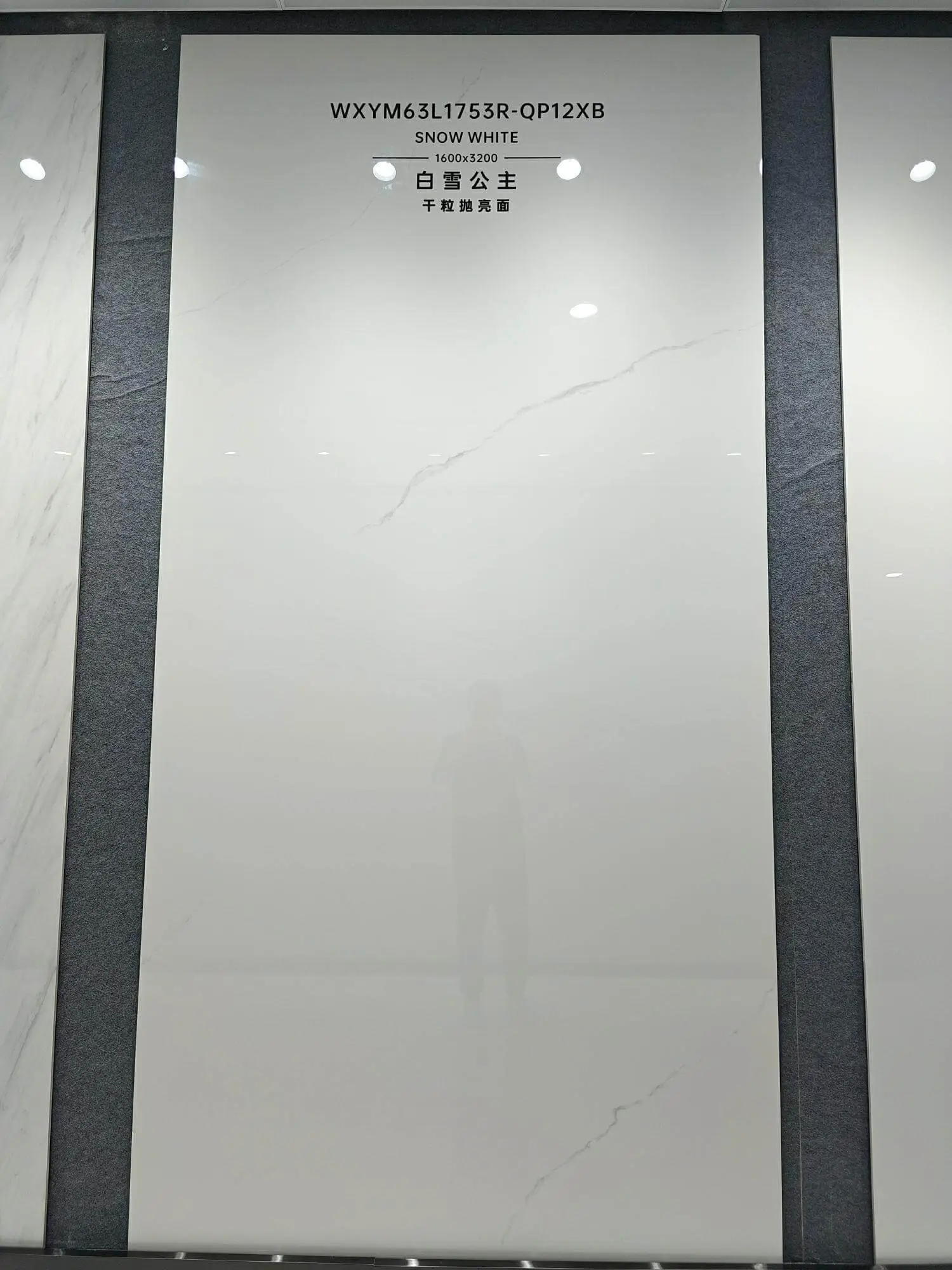 1753 | 1600x3200mm | glossy 1