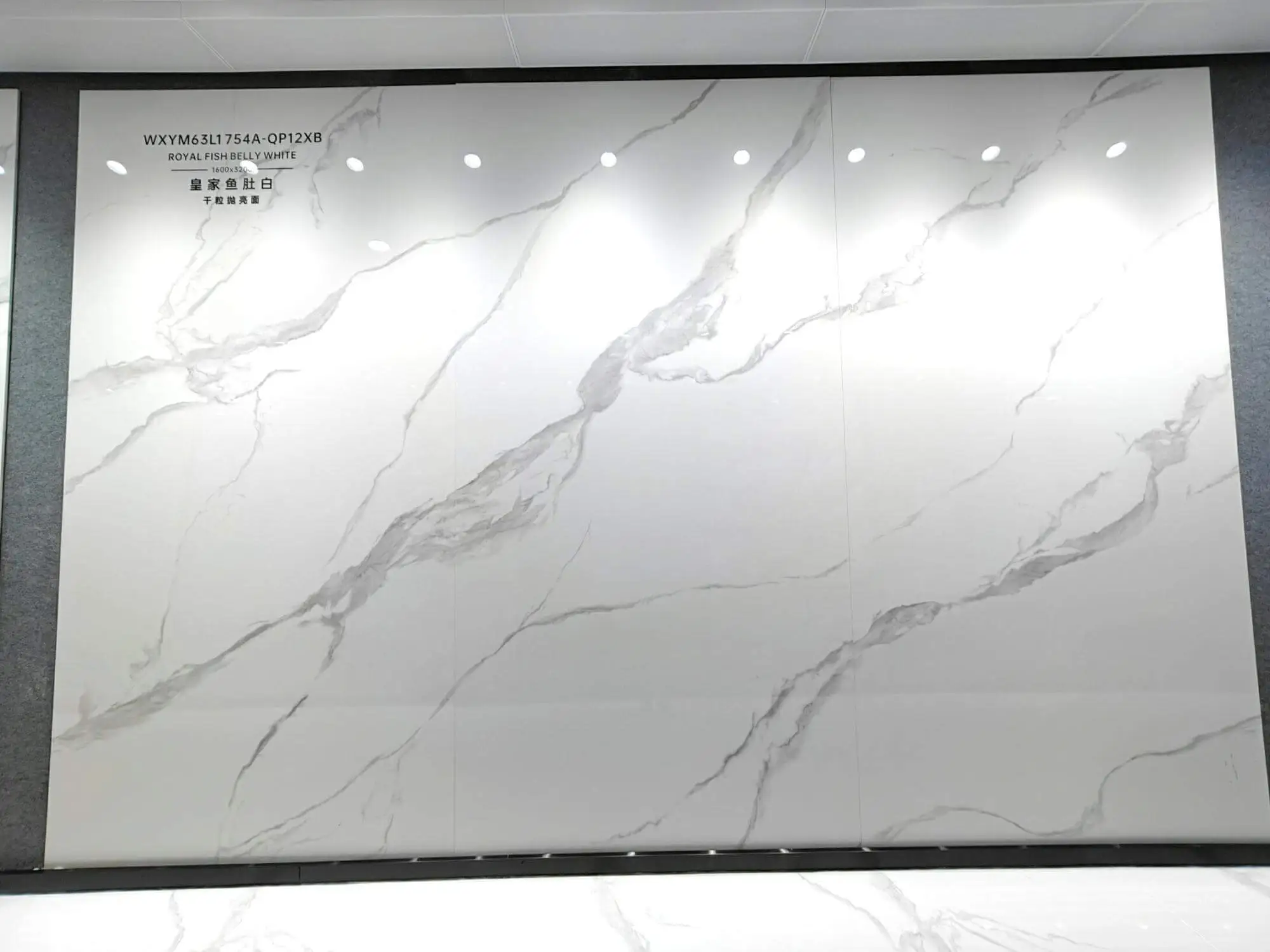 1754 | 1600x3200mm | glossy 1